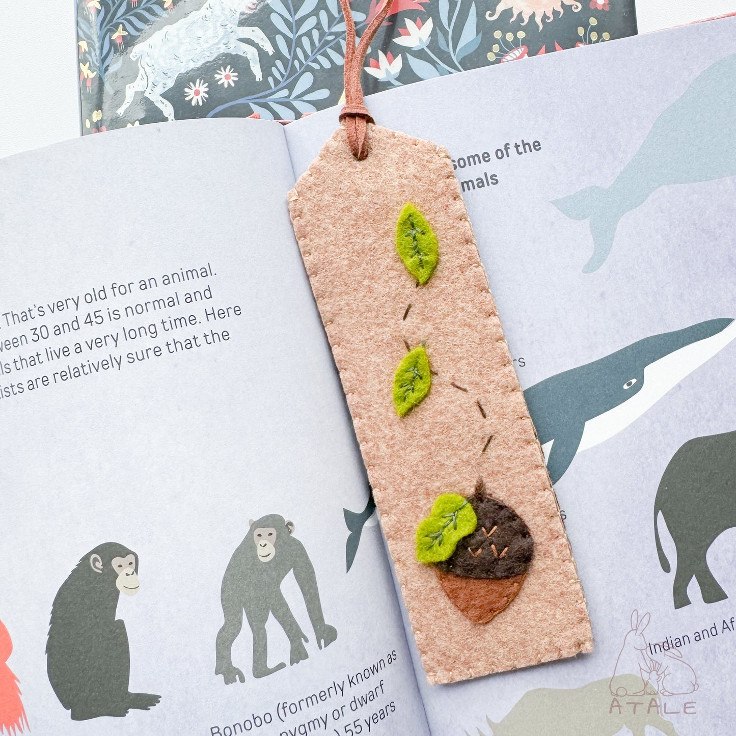 Felt Bookmark | ACORN