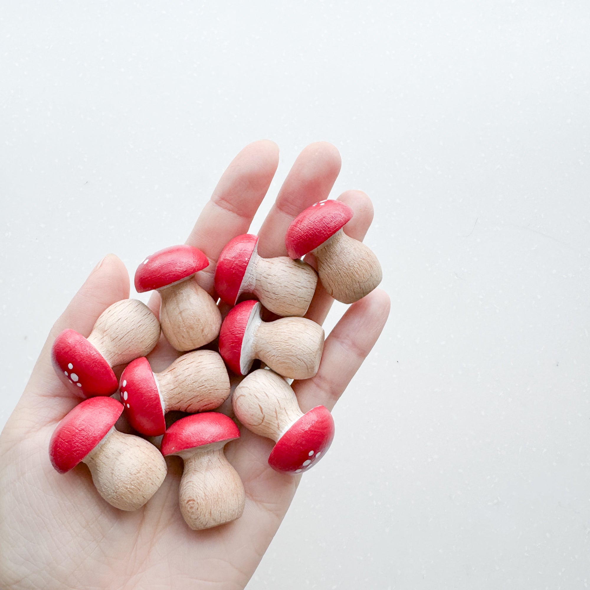 Hand-painted Mini Mushrooms